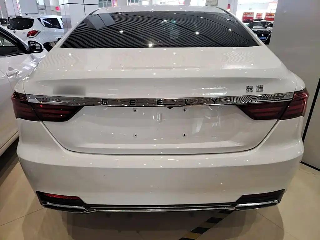 Фото 6 - Geely Binrui