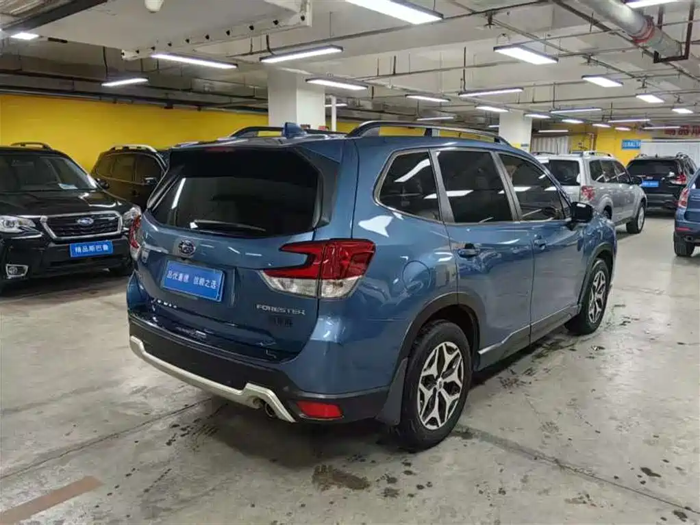 Subaru Forester 2019 2.0i Luxury Edition EyeSight фото 6