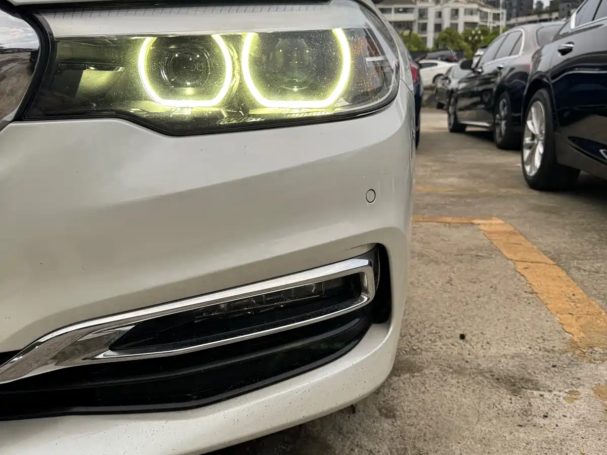 BMW 5 Series 2020 530Li Leading Luxury Package фото 13