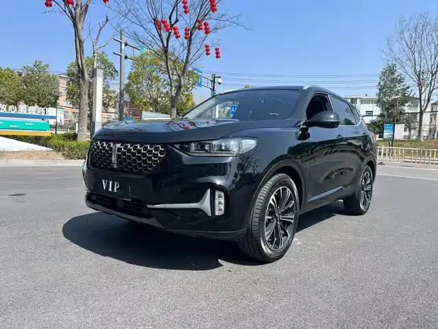 WEI PAI WEI BRAND VV6