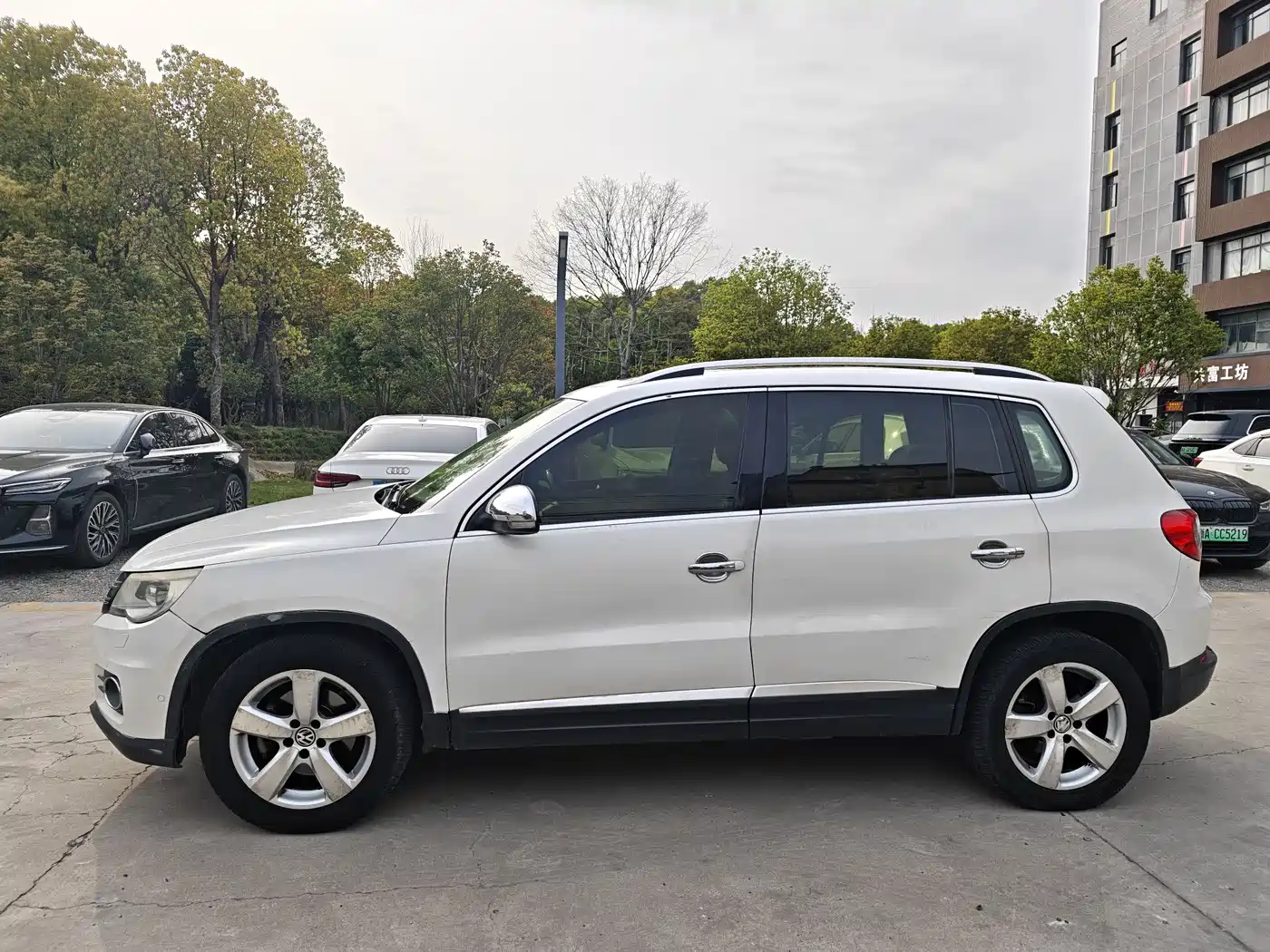Volkswagen Tiguan 2010 1.8TSI Automatic 4WD Elite фото 11
