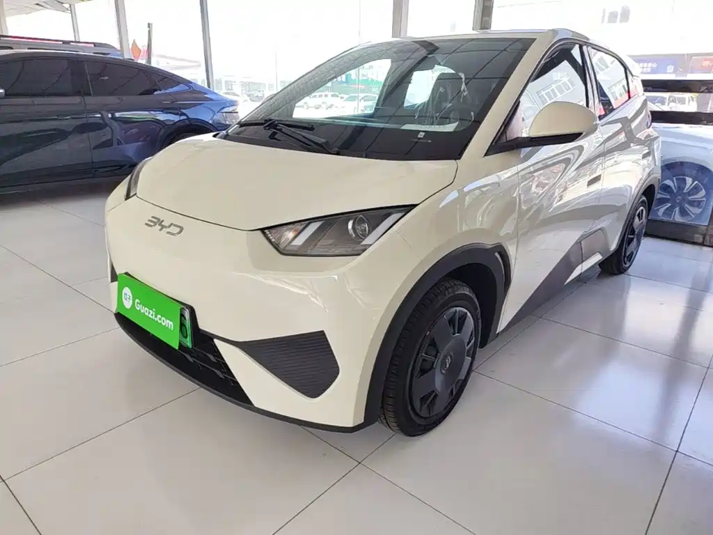 BYD Seagull 2026 2025 Smart Drive Edition 305km Vitality Version