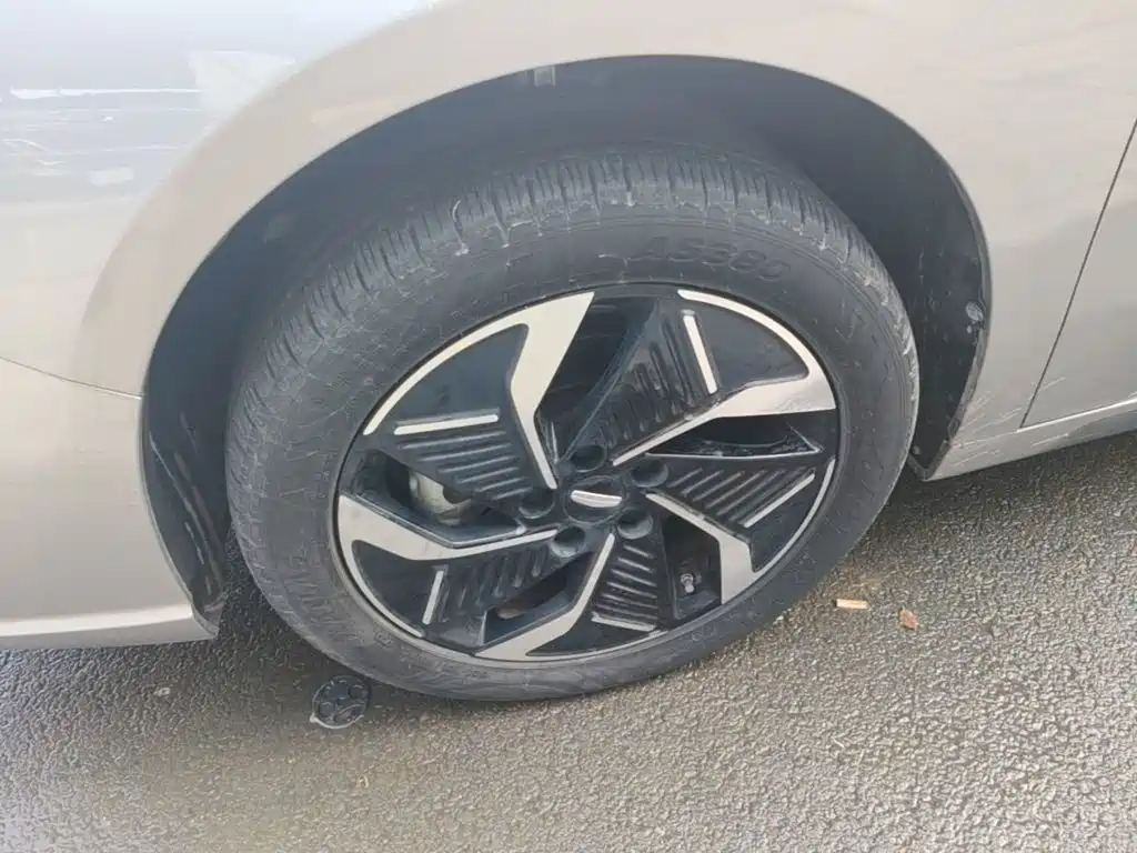 Geely Geometry G6 2023 2024 500KM Flagship