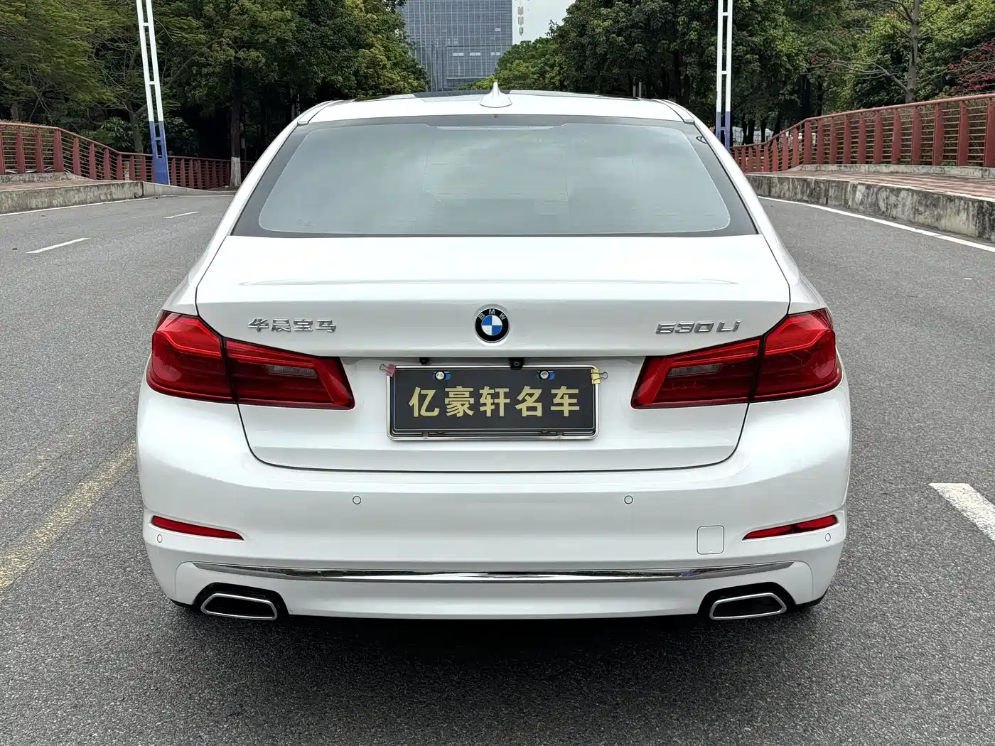 BMW 5 Series 2019 530Li Leading Luxury Package фото 6