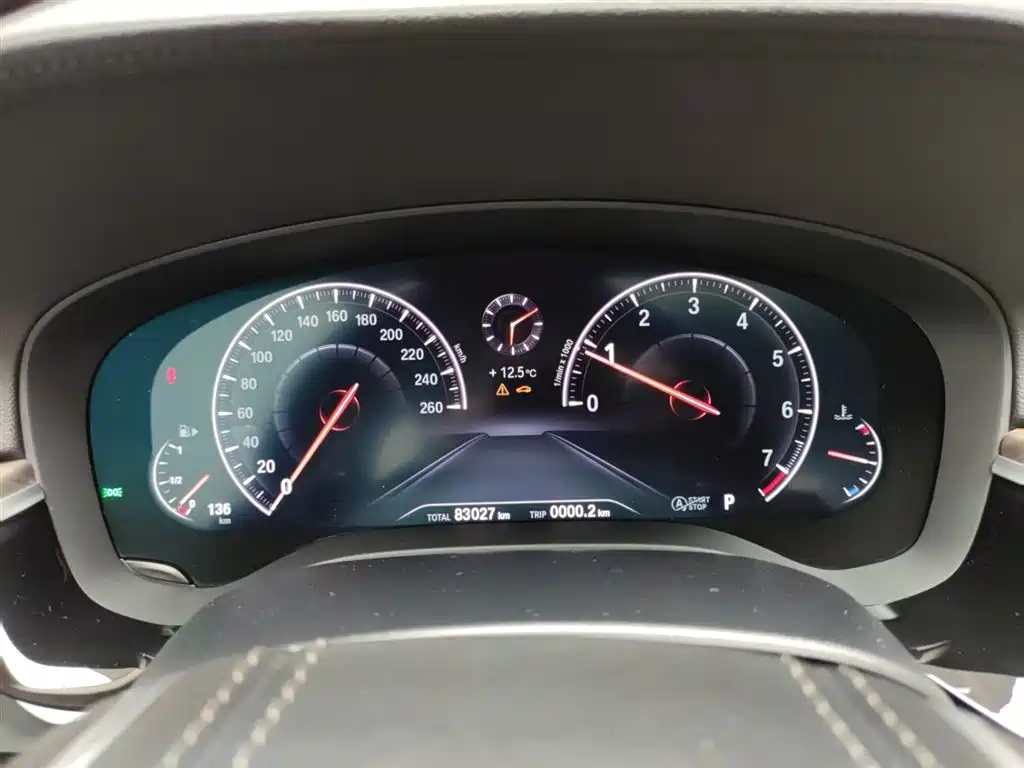 BMW 5 Series 2019 530Li Leading Luxury Package фото 11