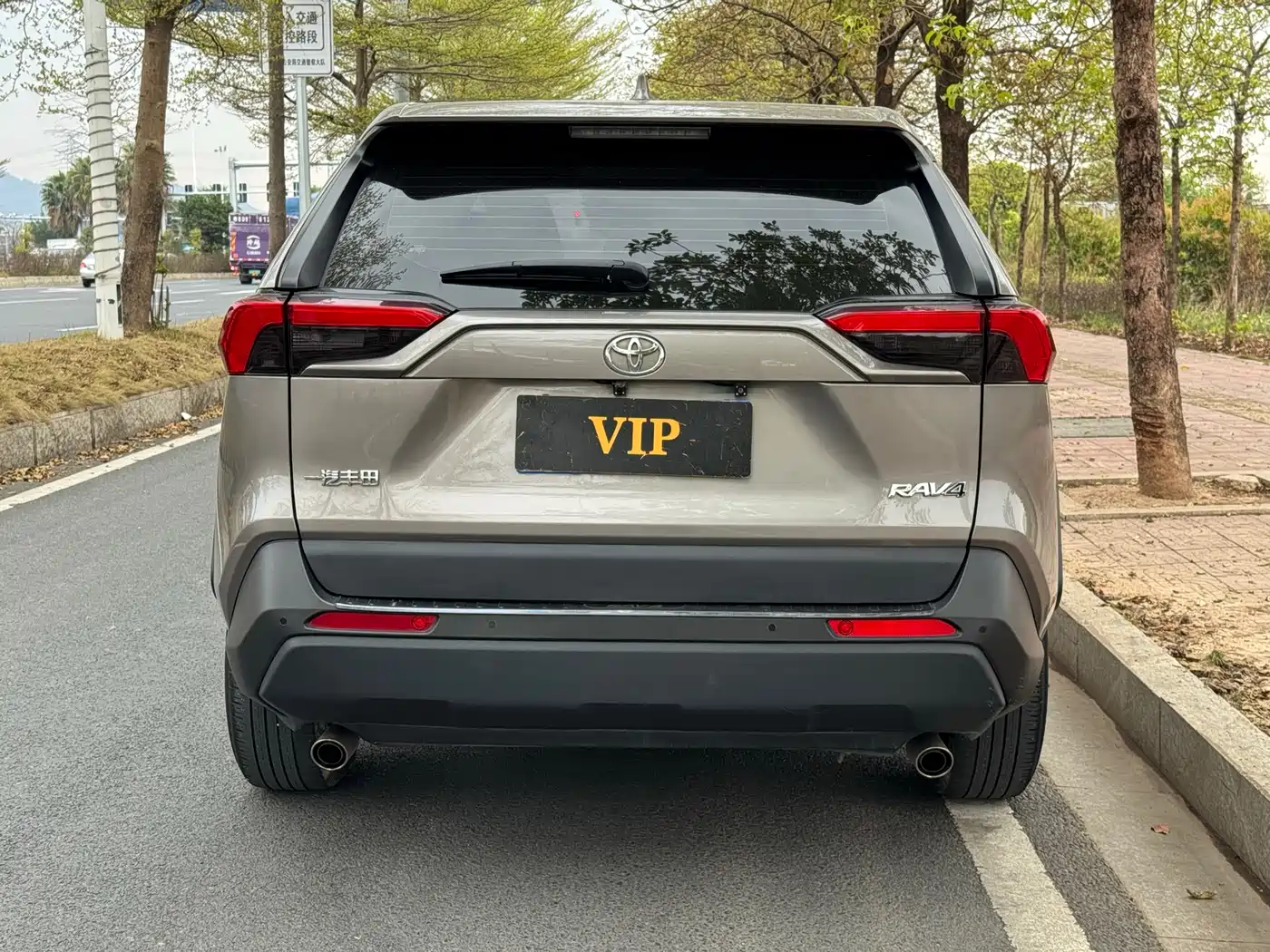 Toyota RAV4 Rongfang 2024 2.0L CVT FWD Urban Edition фото 3