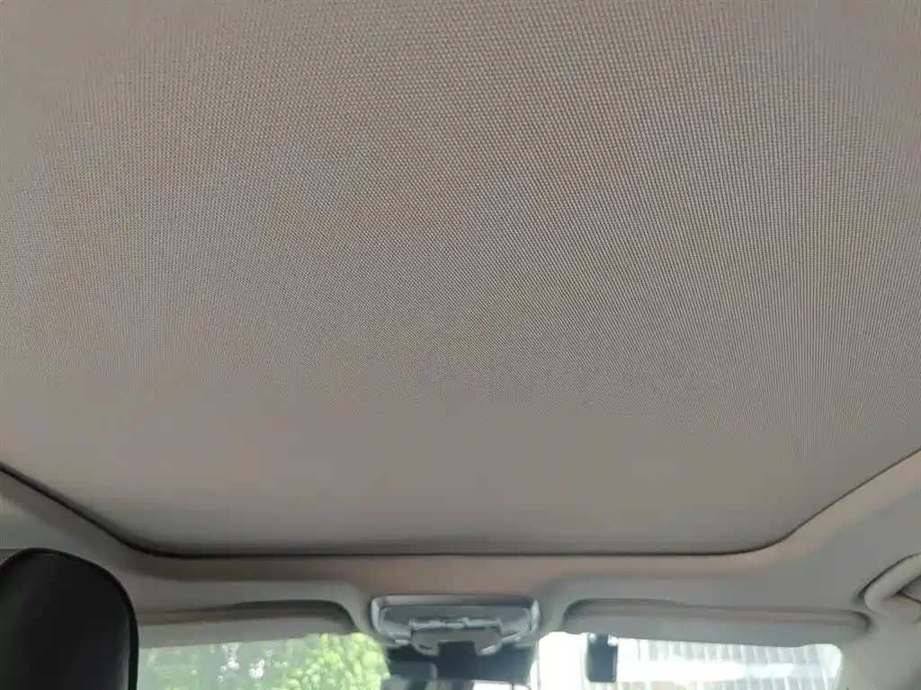 Hongqi H5 2023 2.0T Auto Smart Connect Flag Comfort фото 9
