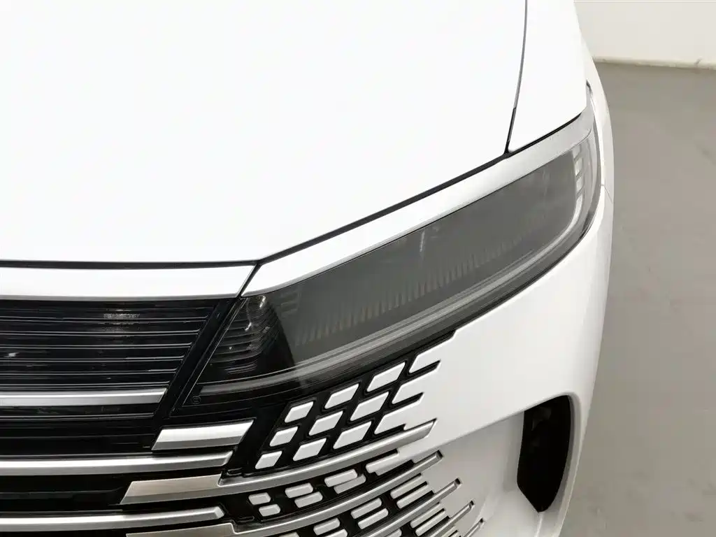 BYD SEA LION 05 DM I