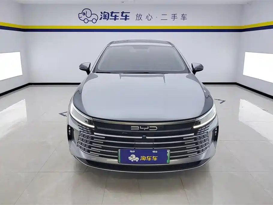BYD Destroyer 05 2024 2023 Champion Edition DM-i 55KM Luxury