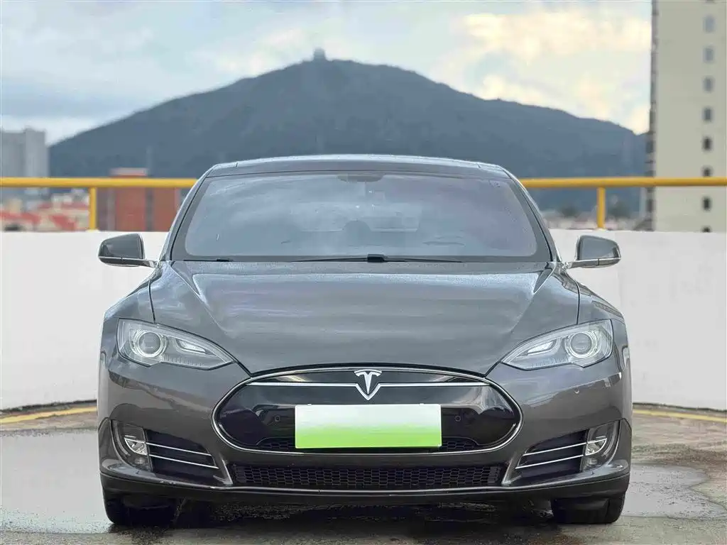 Tesla Model S 2014 2014 Model S P85