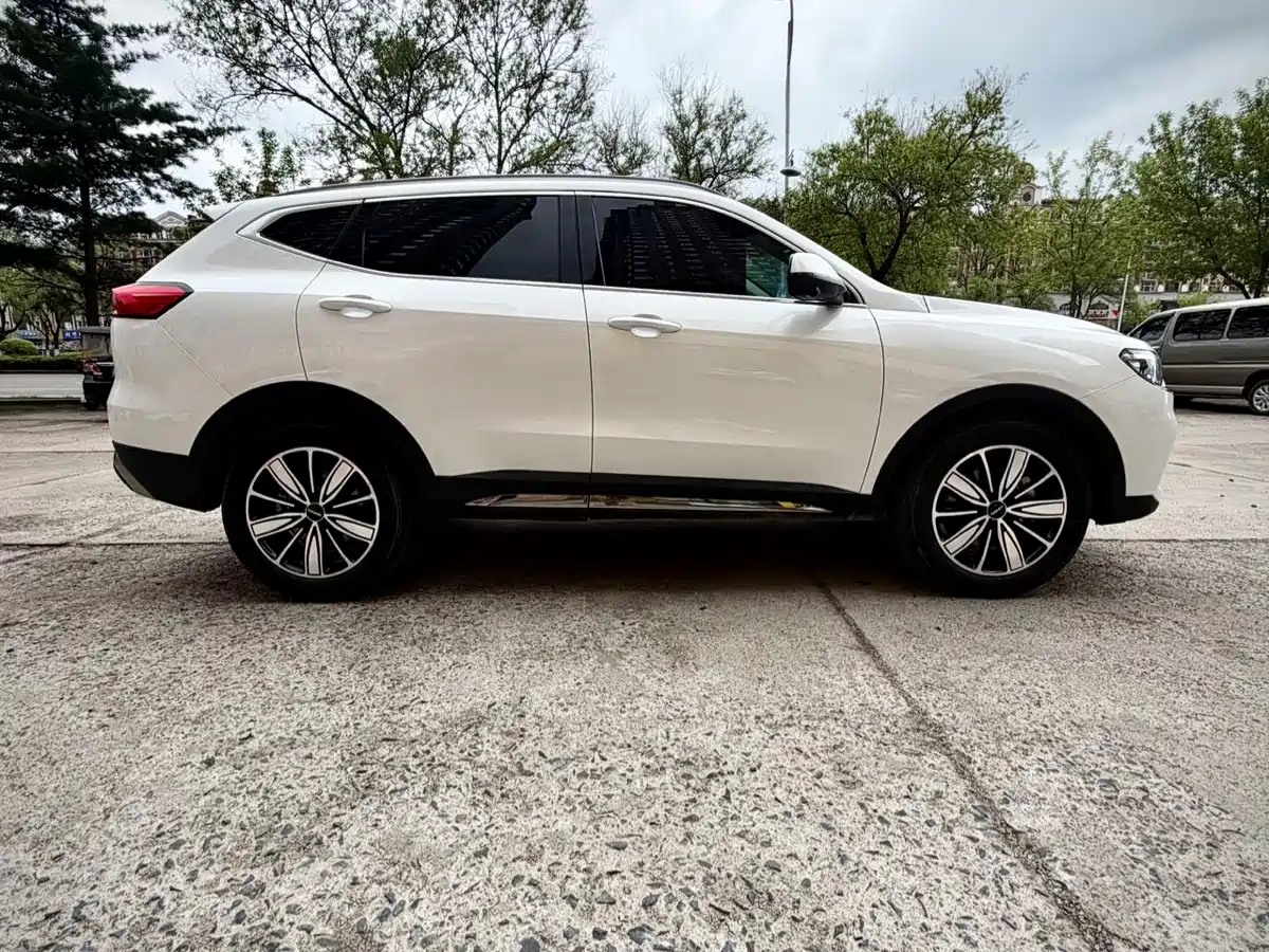 Haval H6 2023 National Trend Edition 1.5T Automatic Champion фото 7