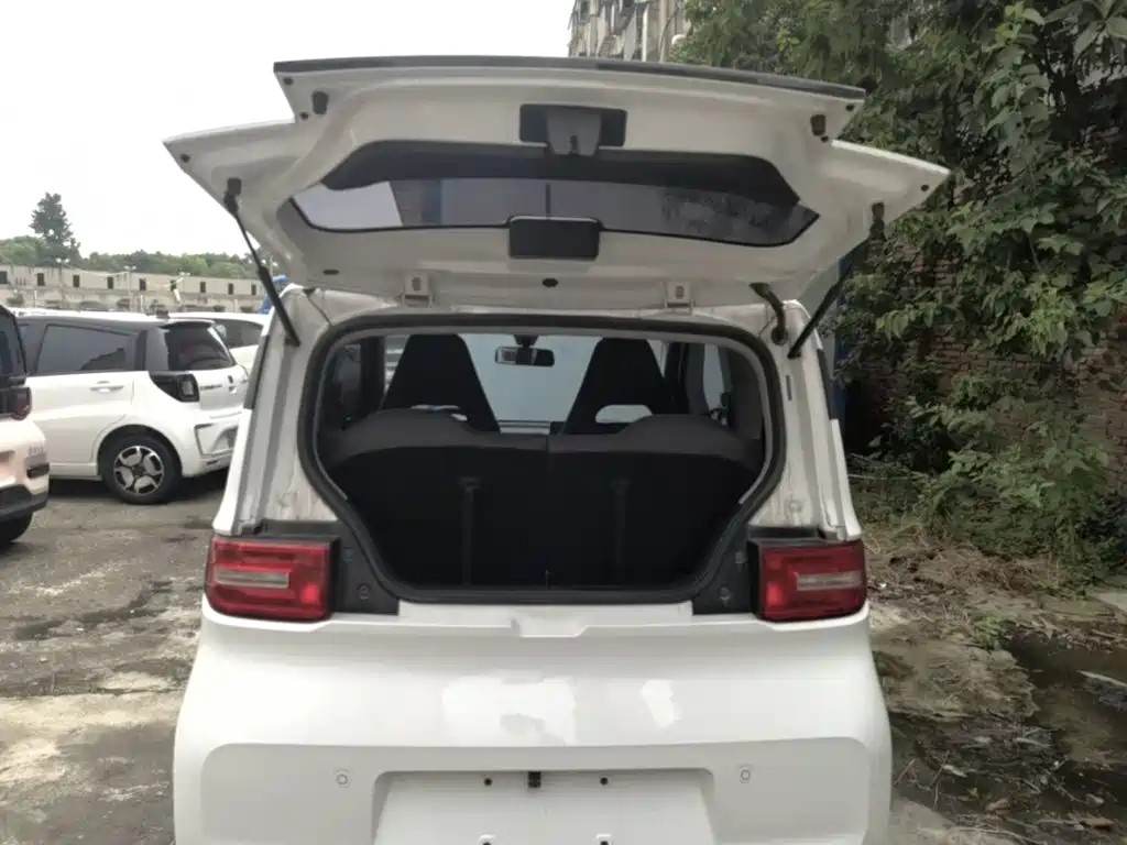 Фото 19 - Wuling Motors Hongguang MINIEV