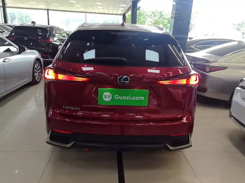 Фото 6 - Lexus NX