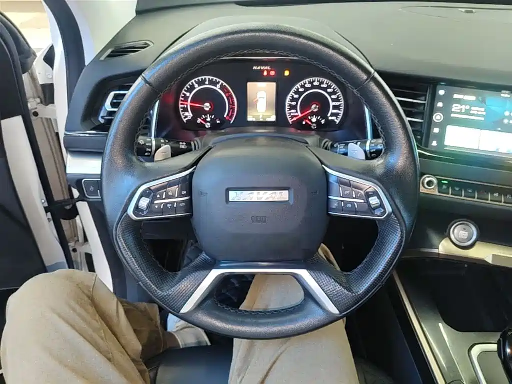 Haval H6 2021 1.5GDIT Automatic Champion Edition фото 11