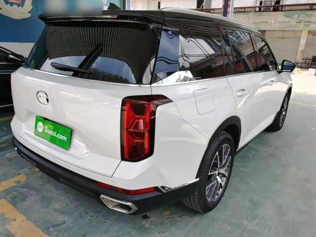 GAC Trumpchi Trumpchi GS8 2025 Pilot Series 2.0TGDI 2WD Luxury Edition 5-seater фото 7