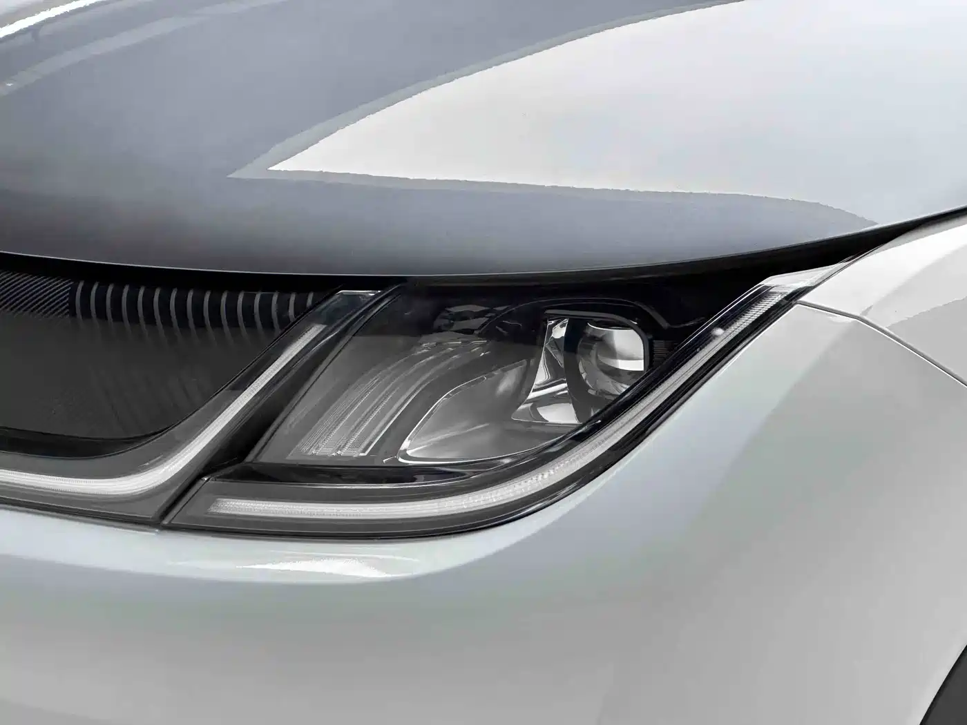 BYD Dolphin 2023 401km Knight Edition фото 15