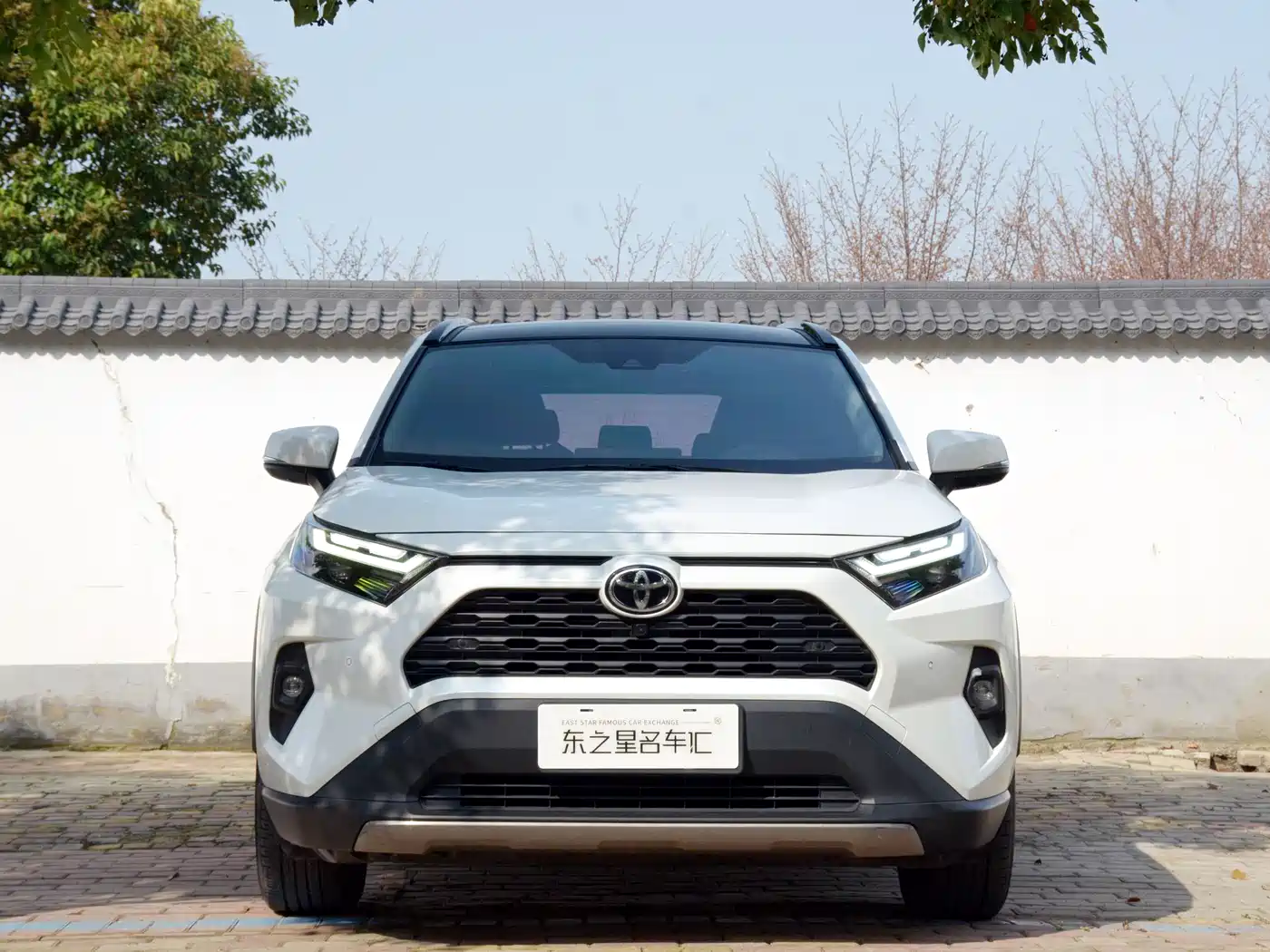 Toyota RAV4 Rongfang 2024 2.0L CVT FWD Style Plus Edition фото 2