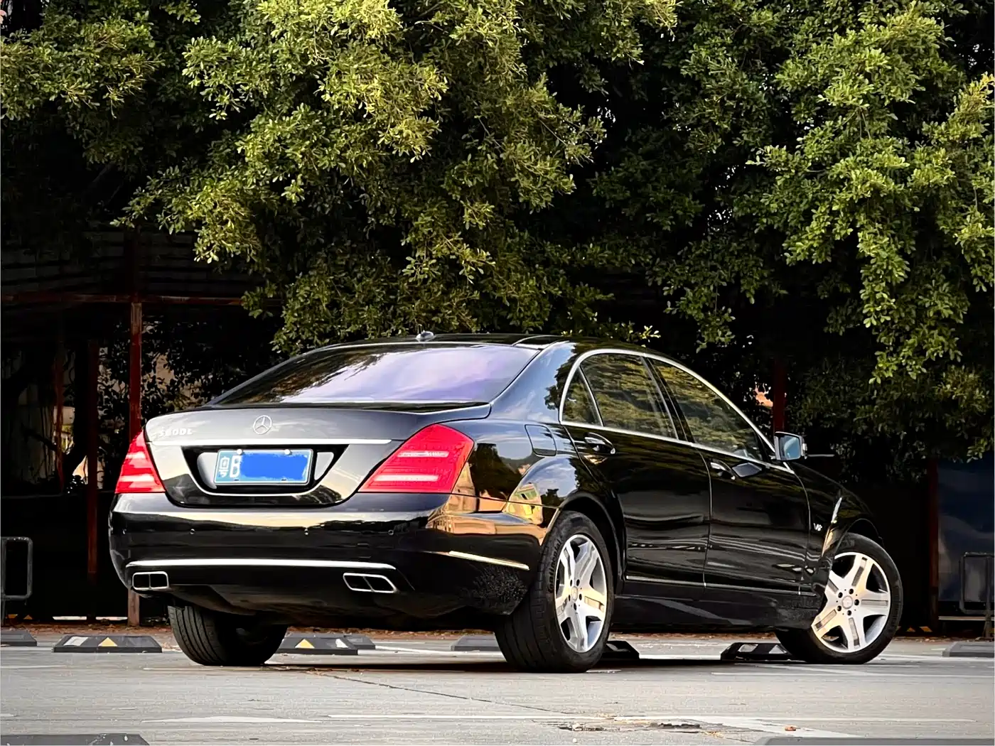 Mercedes-Benz S-Class 2010 S 600 L фото 6
