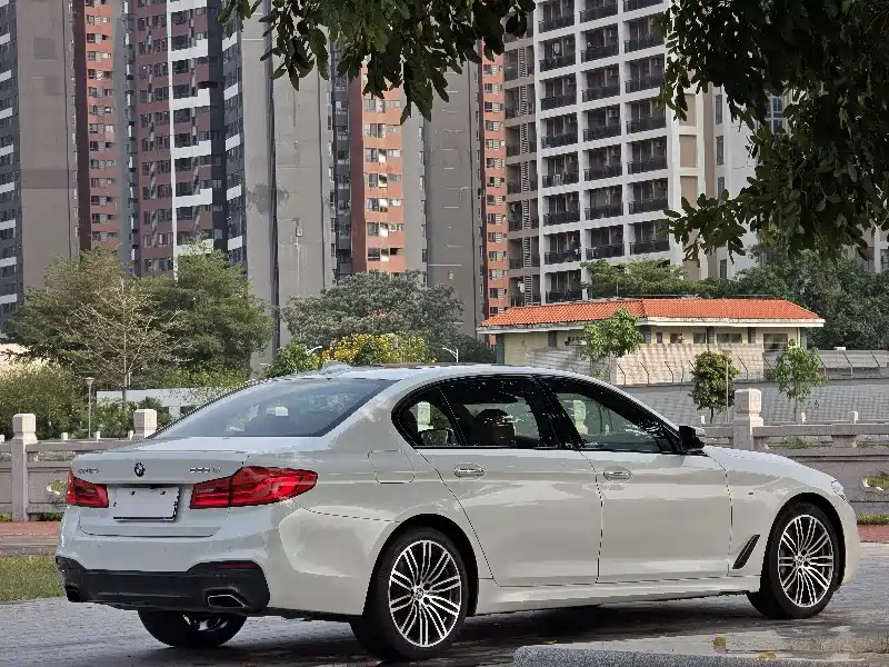 BMW 5 Series 2018 530Li Premium M Sport Package фото 7