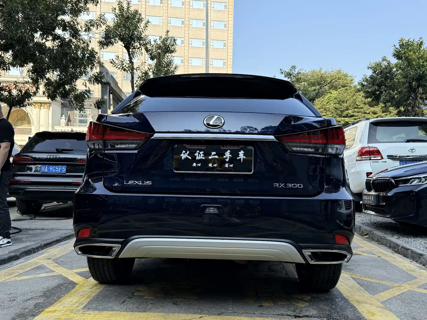 LEXUS RX