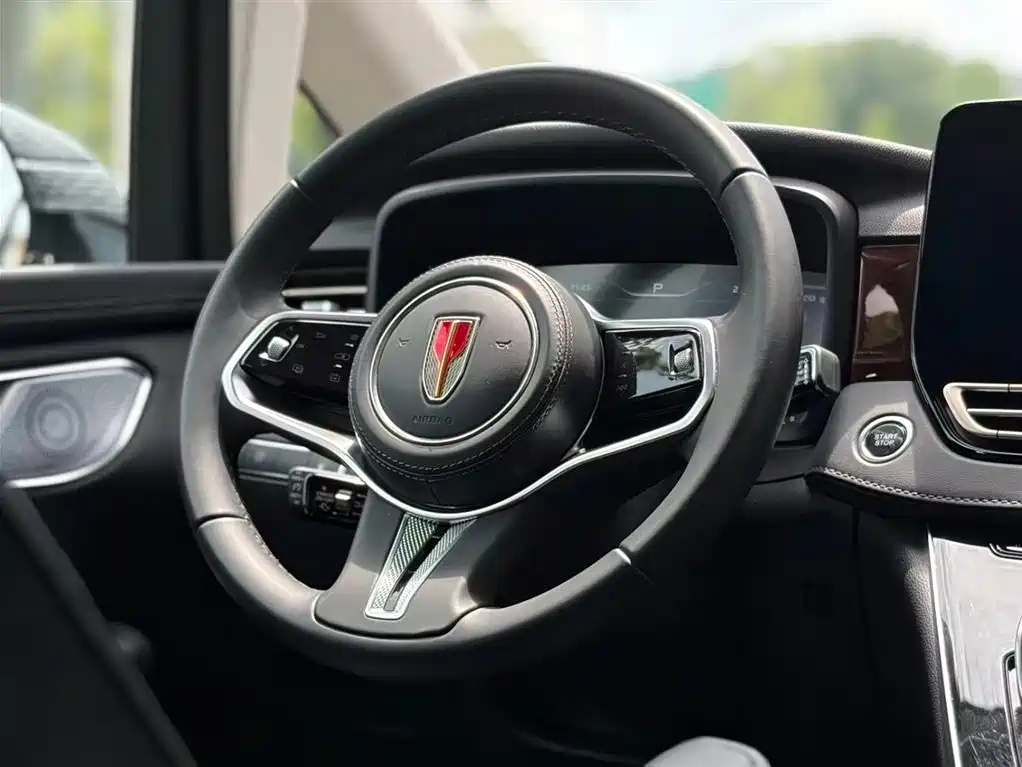 Hongqi HQ9 PHEV 2024 Model 2.0T AWD Luxury Edition фото 22