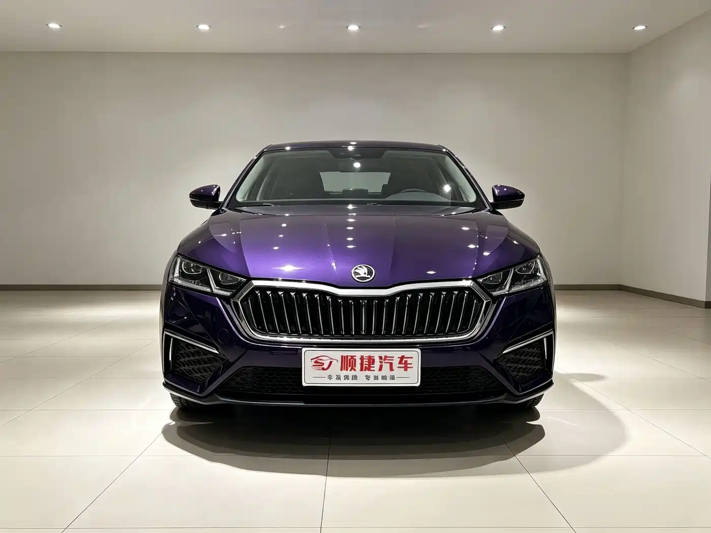 Škoda Octavia 2022 2022 PRO TSI280 Premium Edition