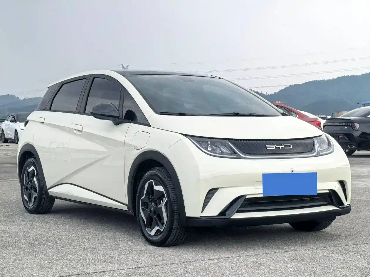 Фото 3 - BYD Dolphin