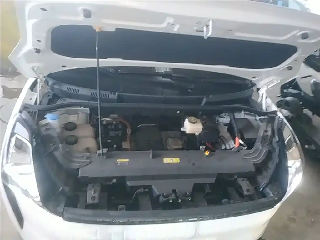 Besturn Bestune NAT 2024 2023 PRO Delight Travel Battery Swap Edition 401km