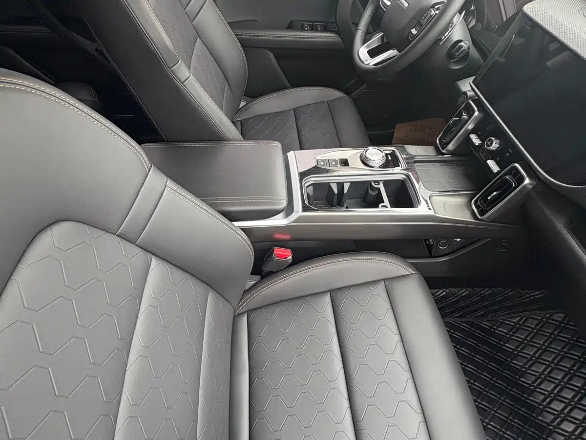 Haval Big Dog 2024 1.5T DCT Border Collie Edition фото 7