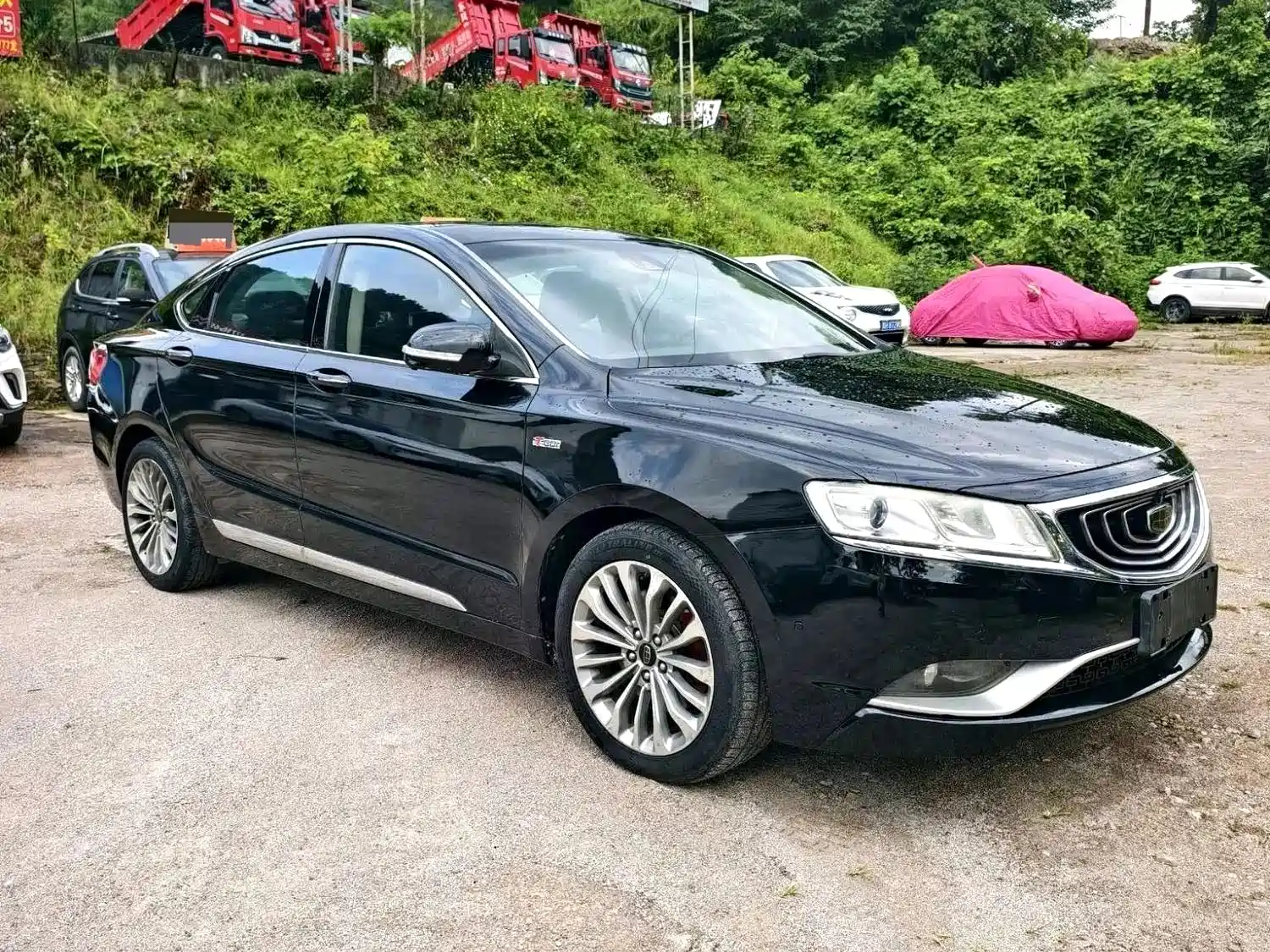 Фото 2 - Geely Borui