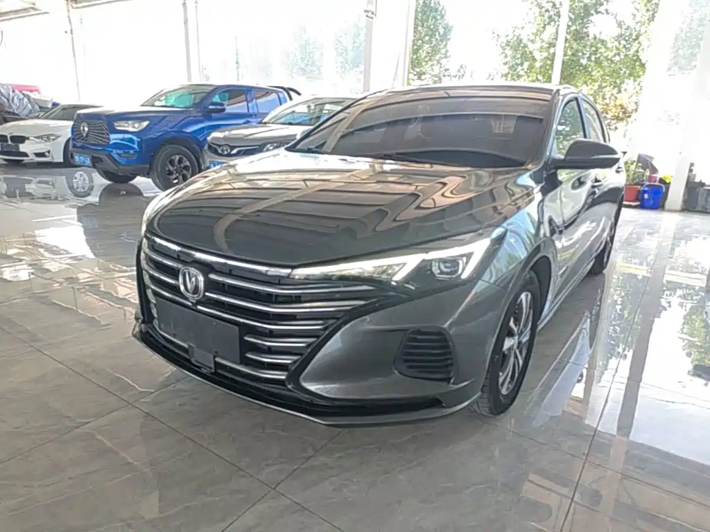 Фото 1 - Changan Eado