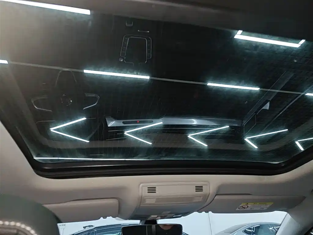Volkswagen Magotan GTE Plug-in Hybrid 2022 GTE Luxury фото 18