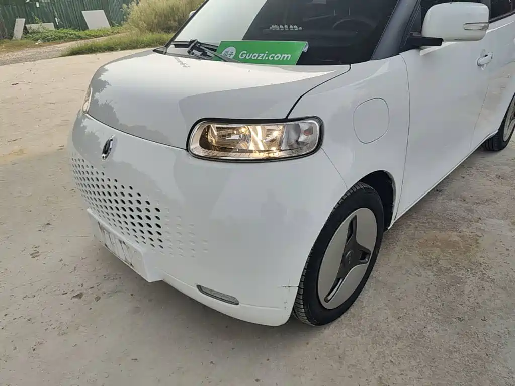 Ora White Cat 2020 2020 360km Luxury Model