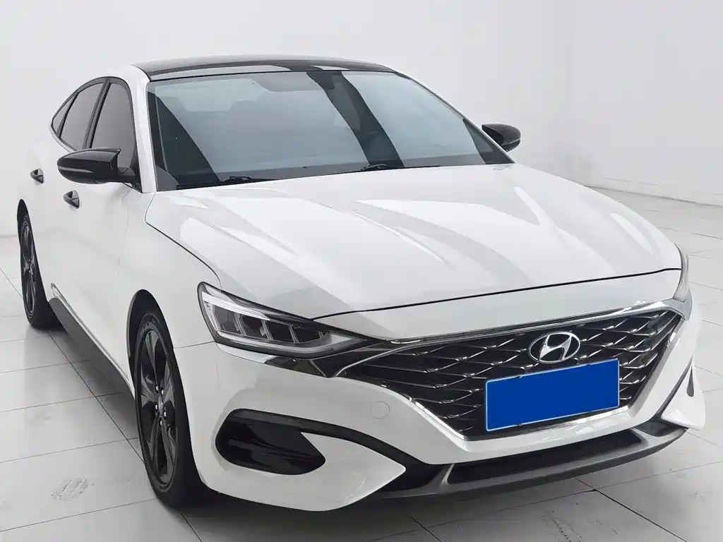 Фото 3 - Hyundai Lafesta