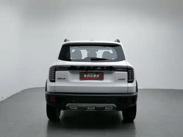 Haval Big Dog 2021 1.5T DCT 2WD Labrador Edition — фото 4