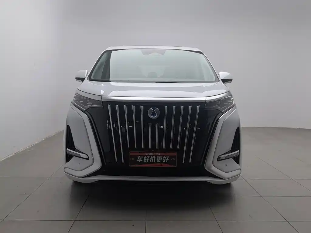 Фото 3 - Denza D9