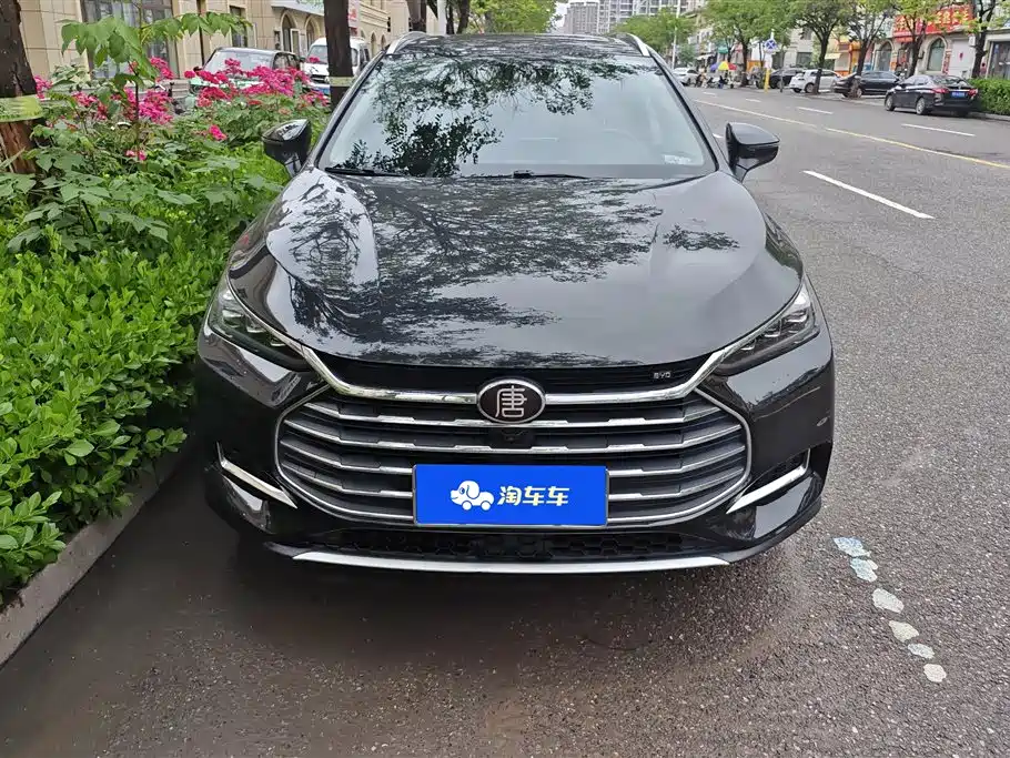 BYD Tang 2019 2.0T Automatic Smart Connect Noble 7-seater China VI фото 2