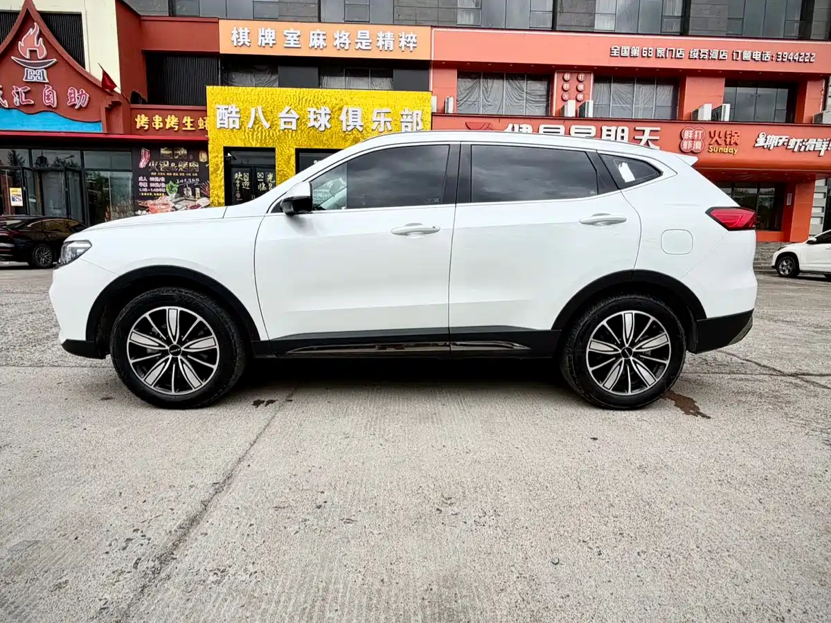 Haval H6 2023 National Trend Edition 1.5T Automatic Champion фото 8