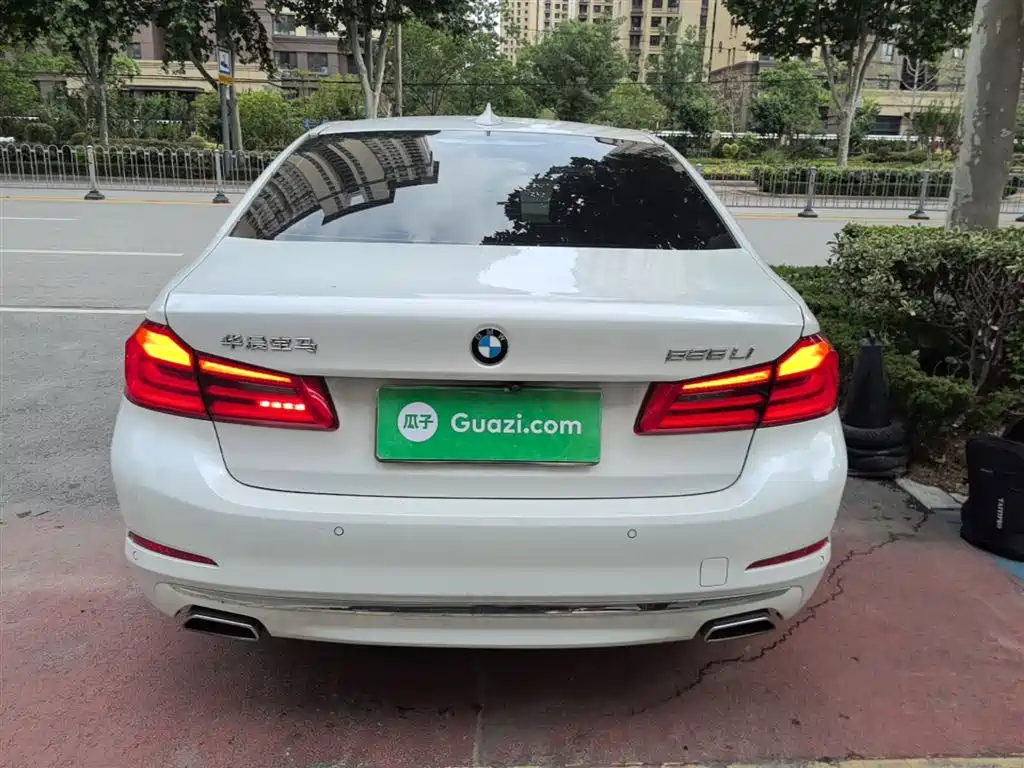 BMW 5 Series 2020 525Li Luxury Package фото 6