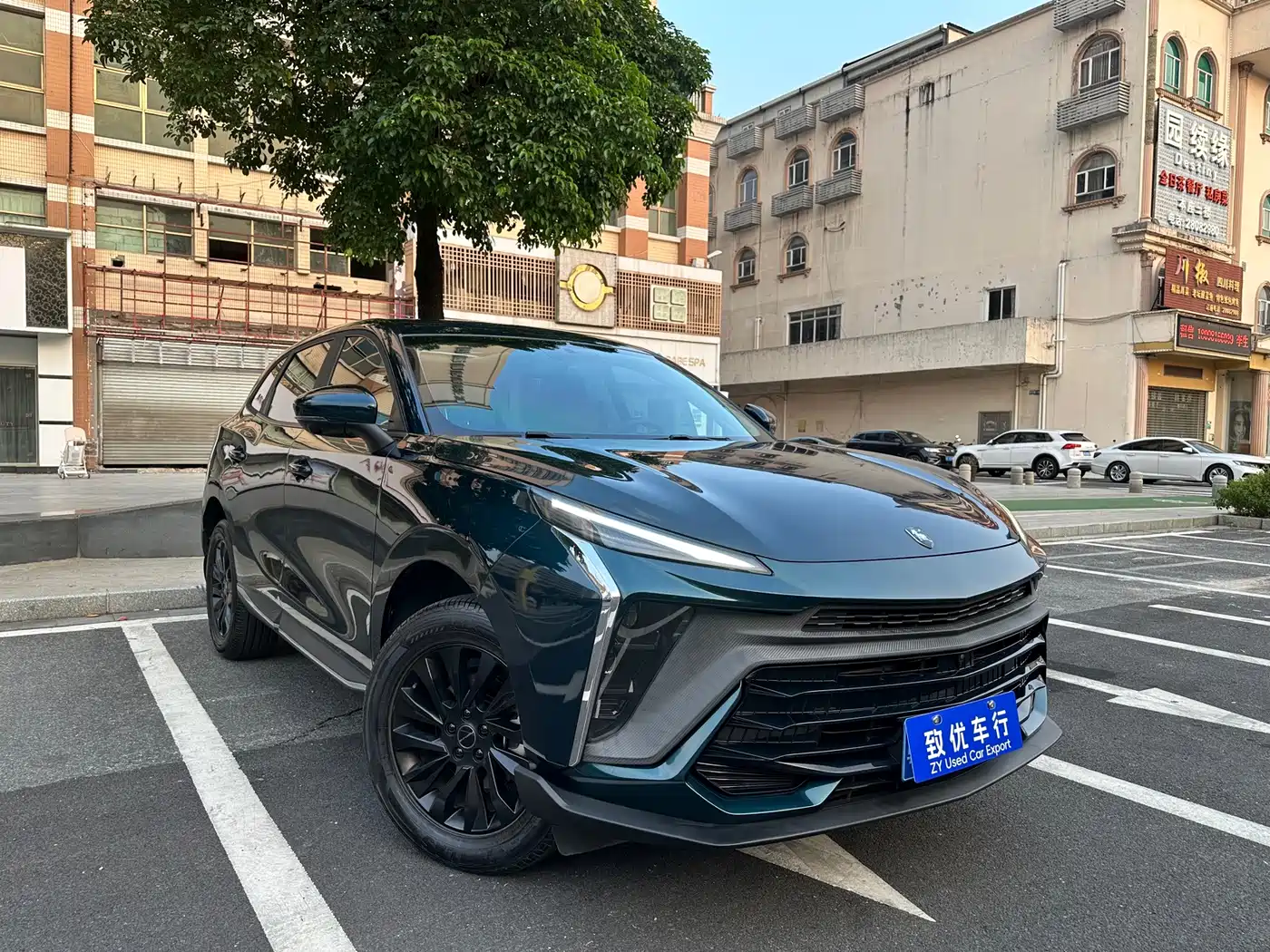 2024 Dongfeng Fengxing Fengxing T5 EVO