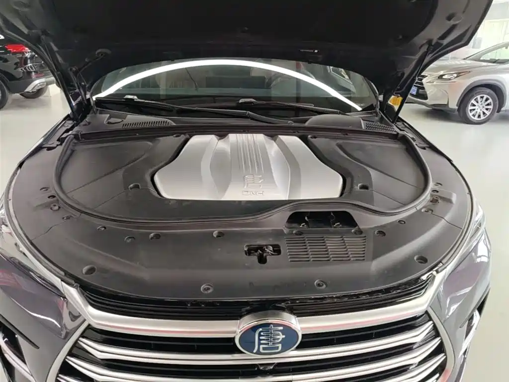 BYD Tang New Energy 2021 DM-i 112KM Honor фото 20