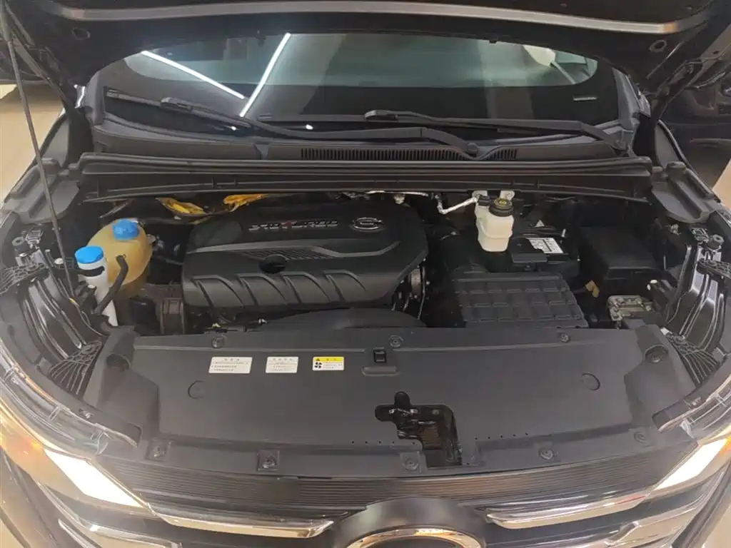 GAC Trumpchi Trumpchi M6 2019 270T DCT Luxury Edition (7-seater) (China VI) фото 20