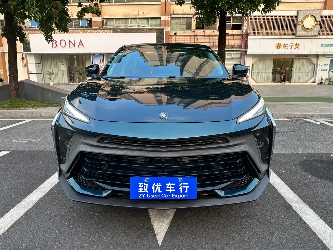 2024 Dongfeng Fengxing Fengxing T5 EVO