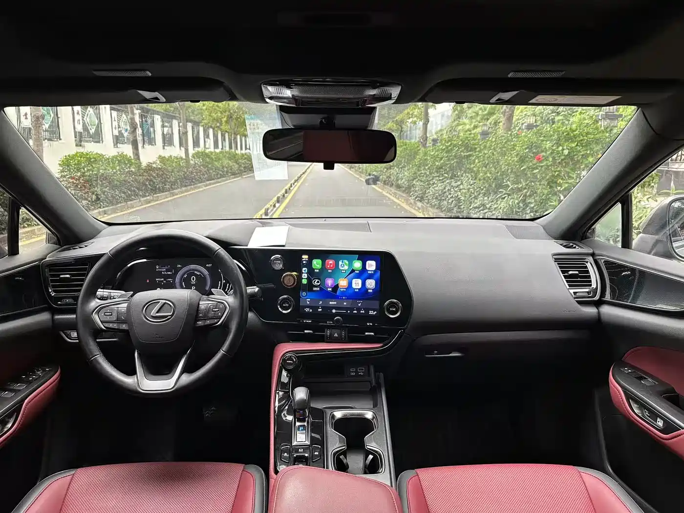 LEXUS NX