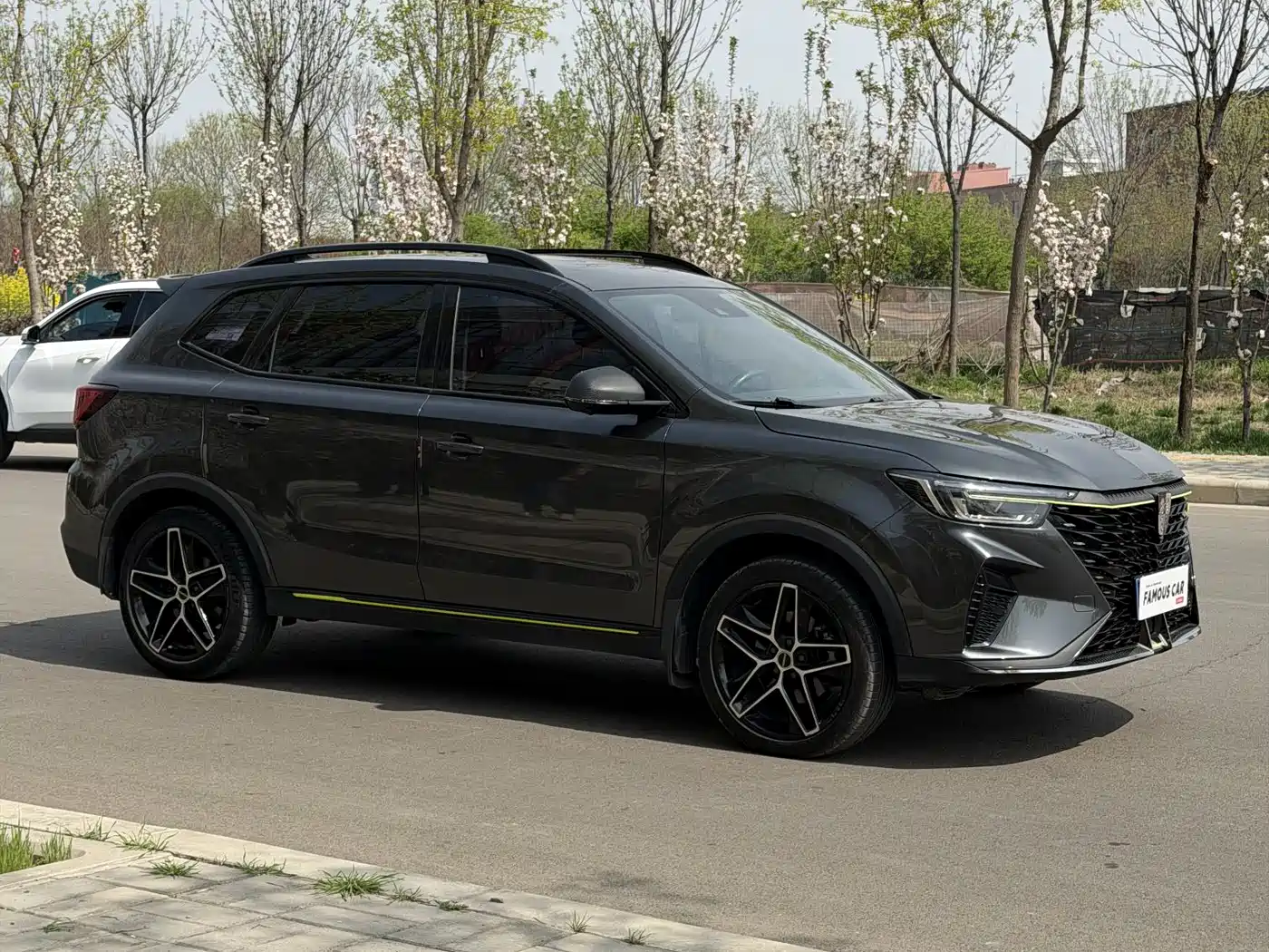 ROEWE RX5