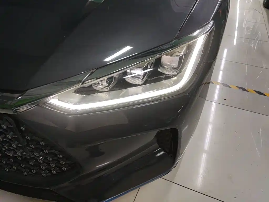 BYD e2 2021 2020 Upgraded Long Range Premium