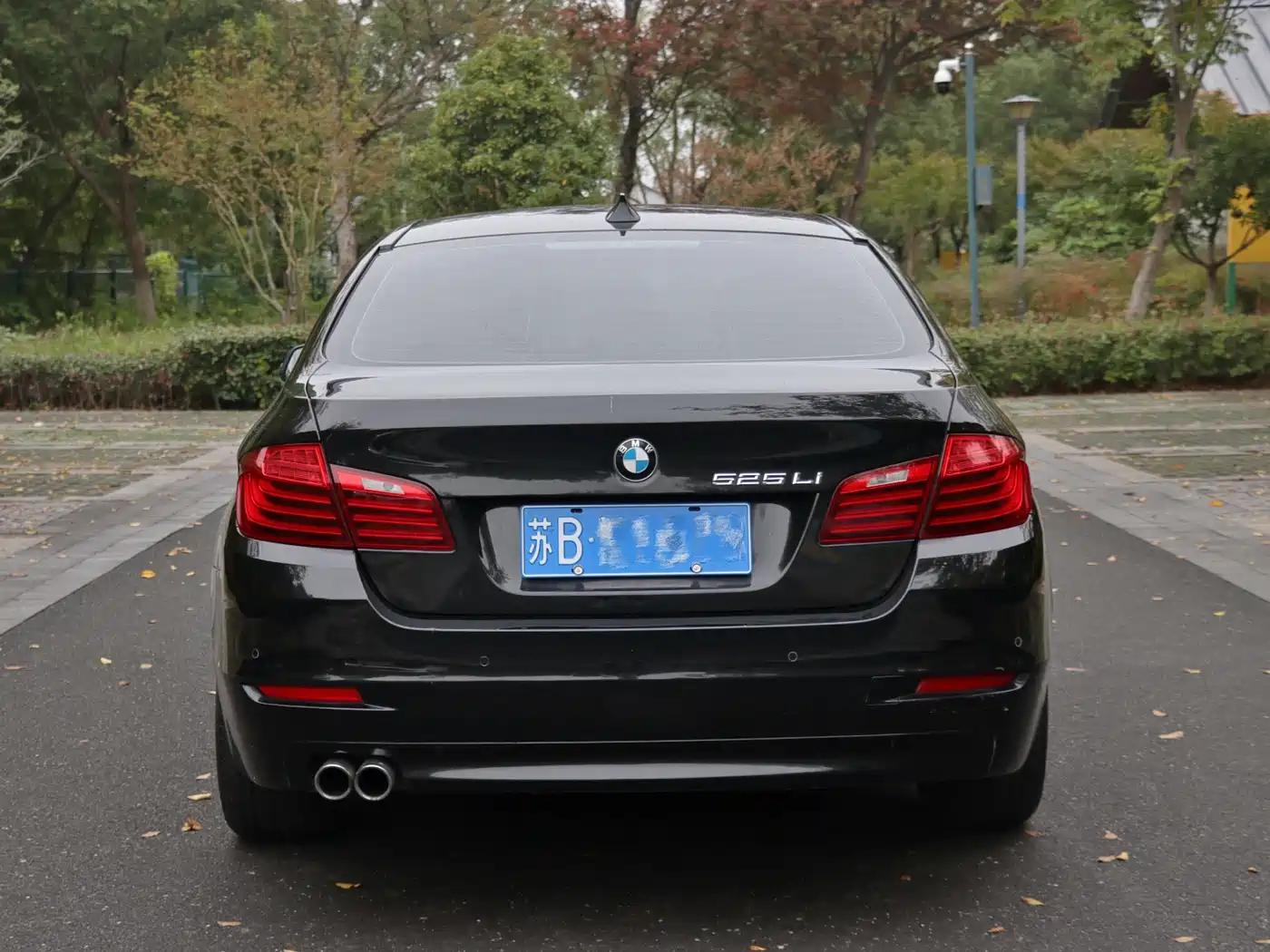 BMW 5 Series 2014 520Li Elegance фото 28