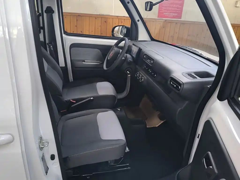 Wuling Motors Wuling Zhiguang NEV 2026 2025 Model 305km Base Version