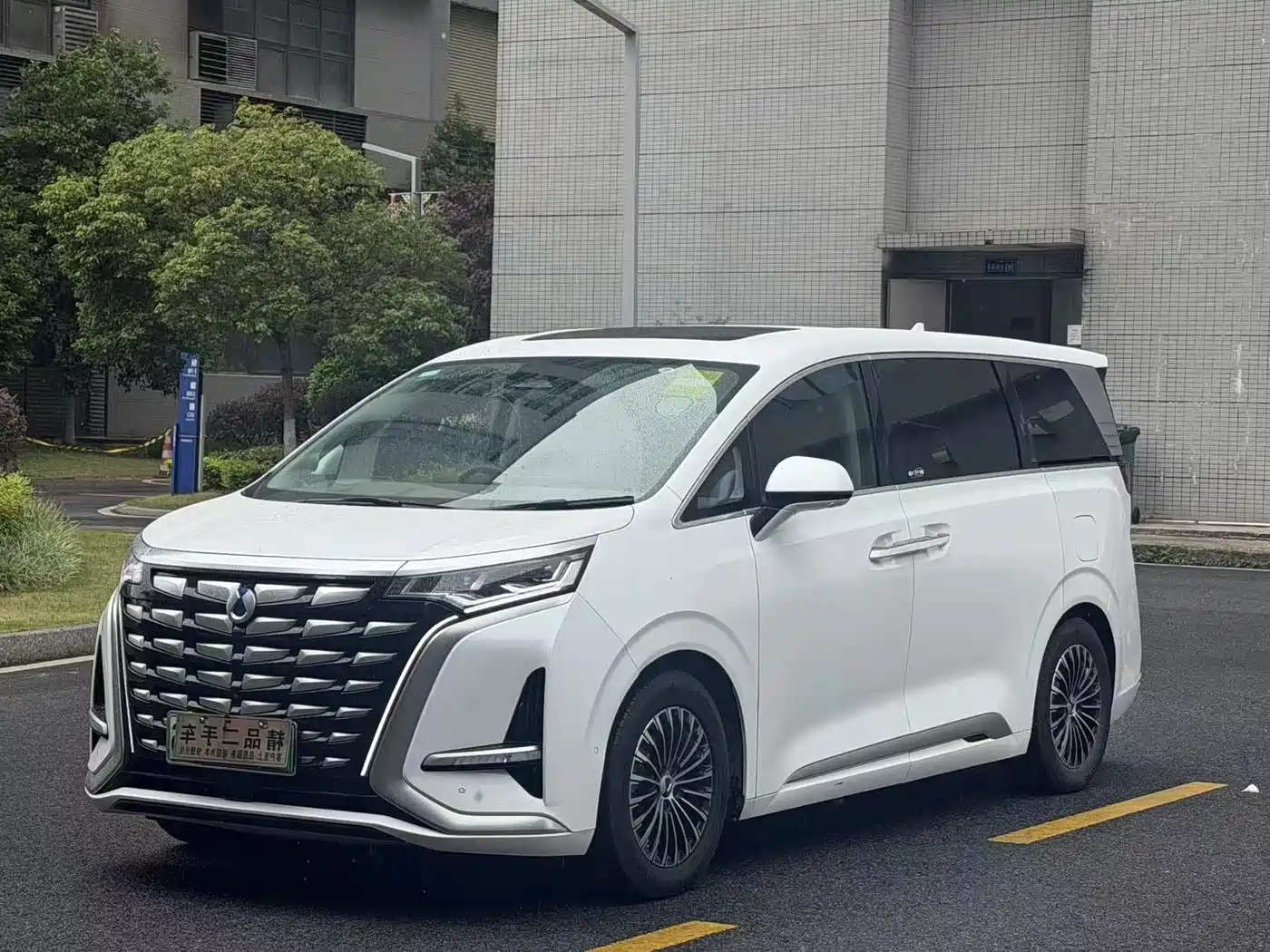 Denza D9 2022 DM-i 970 AWD Flagship фото 3
