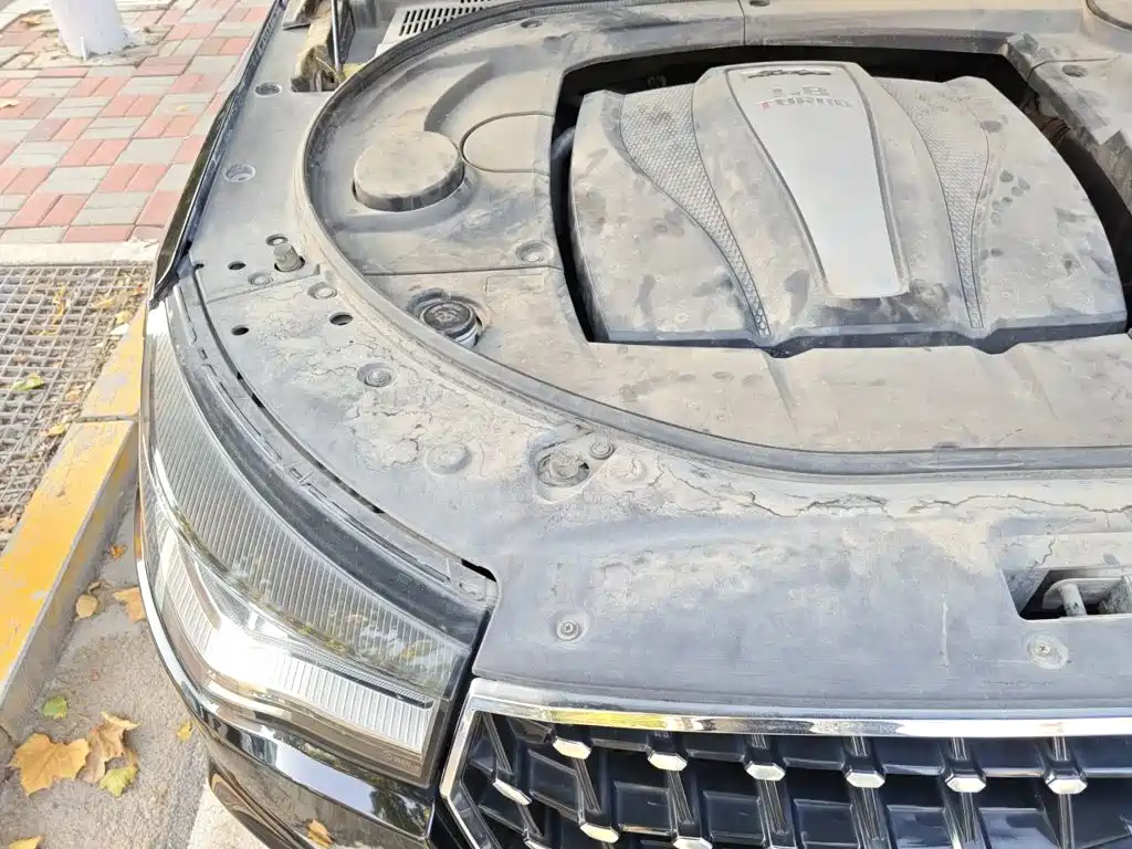 صورة 20 - Zotye T700